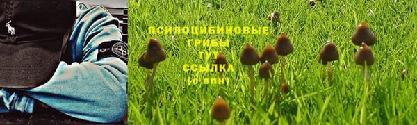 кокаин премиум Алзамай