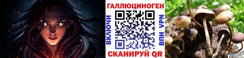 где купить наркотик  Бобров  Галлюциногенные грибы Cubensis 
