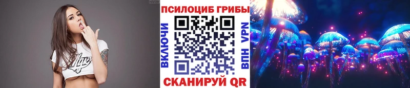 Псилоцибиновые грибы Psilocybine cubensis Бобров